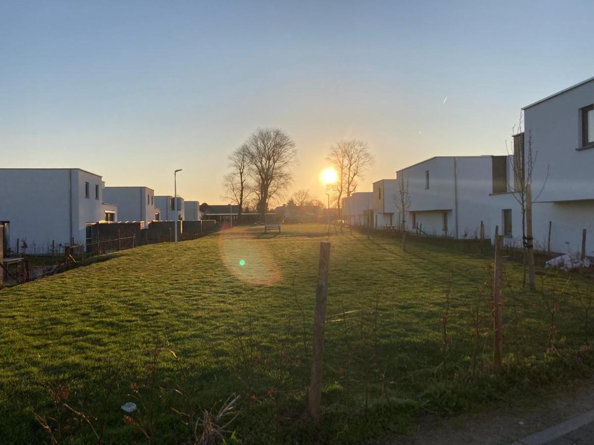 Maison Coxyde Eksteriør billede